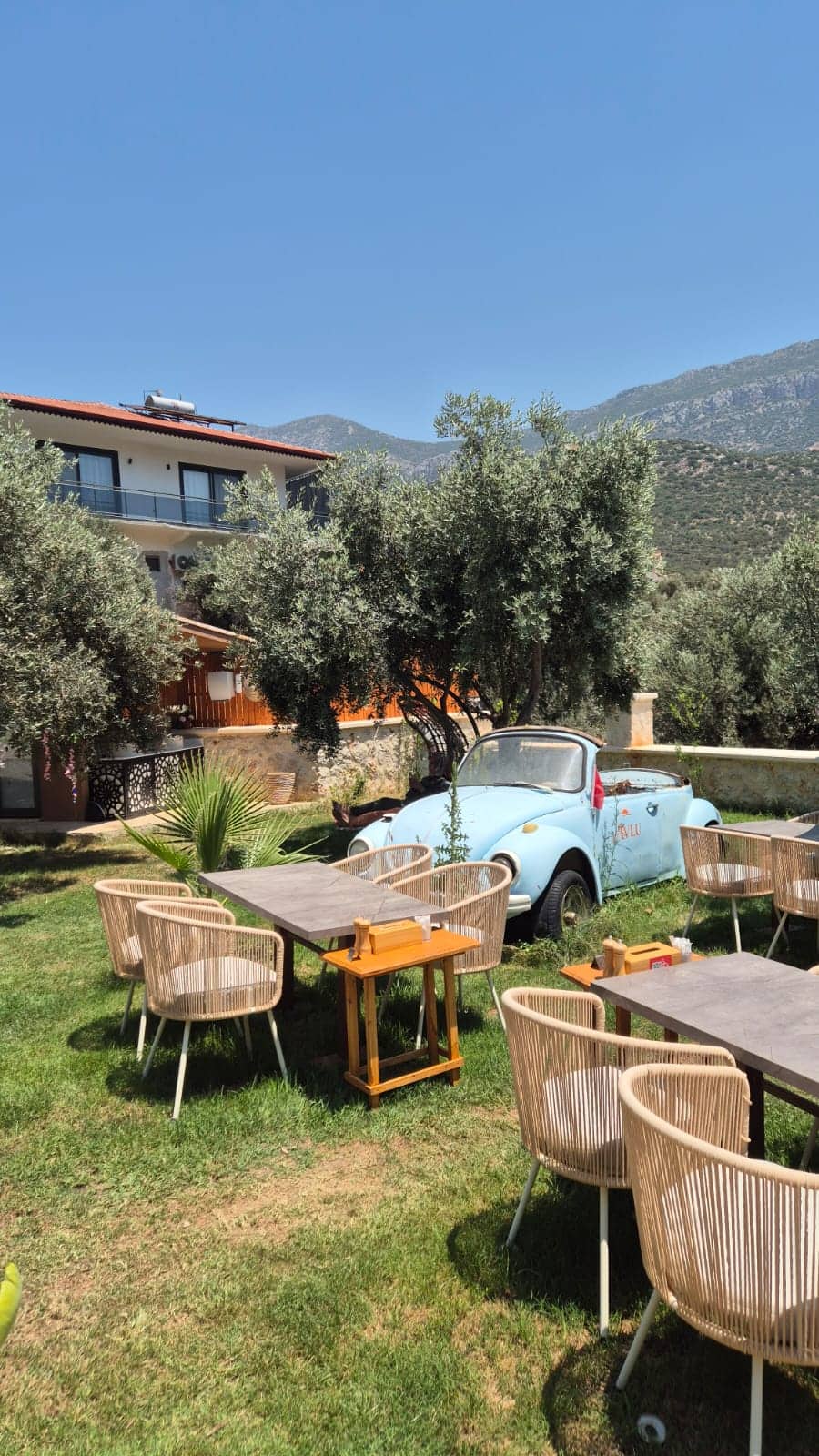 AVLU KALKAN KAHVALTI & RESTAURANT ambiyans